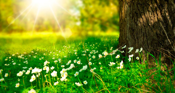 Sommernyhed600x320.jpg