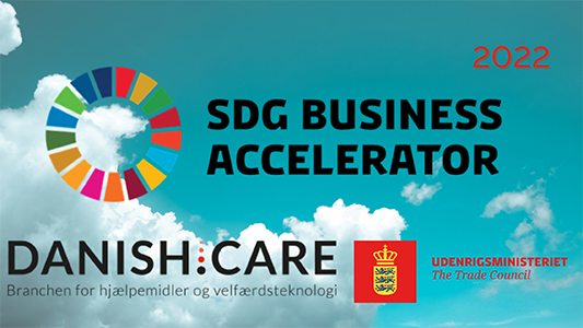 SDG Accelerator banner til hjemmeside.png (1)